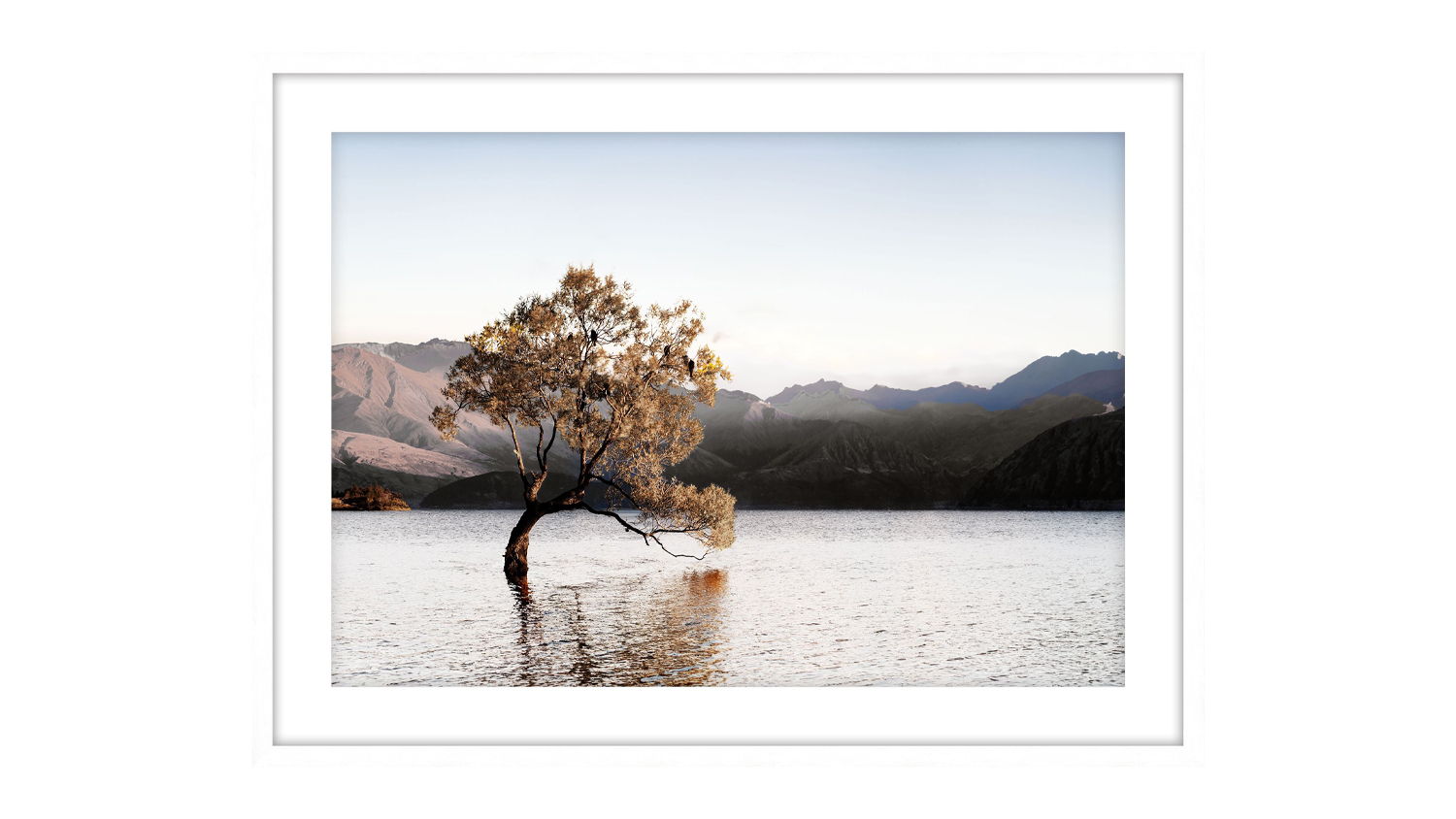A view of a solitary tree reflected in a lake with mountains.