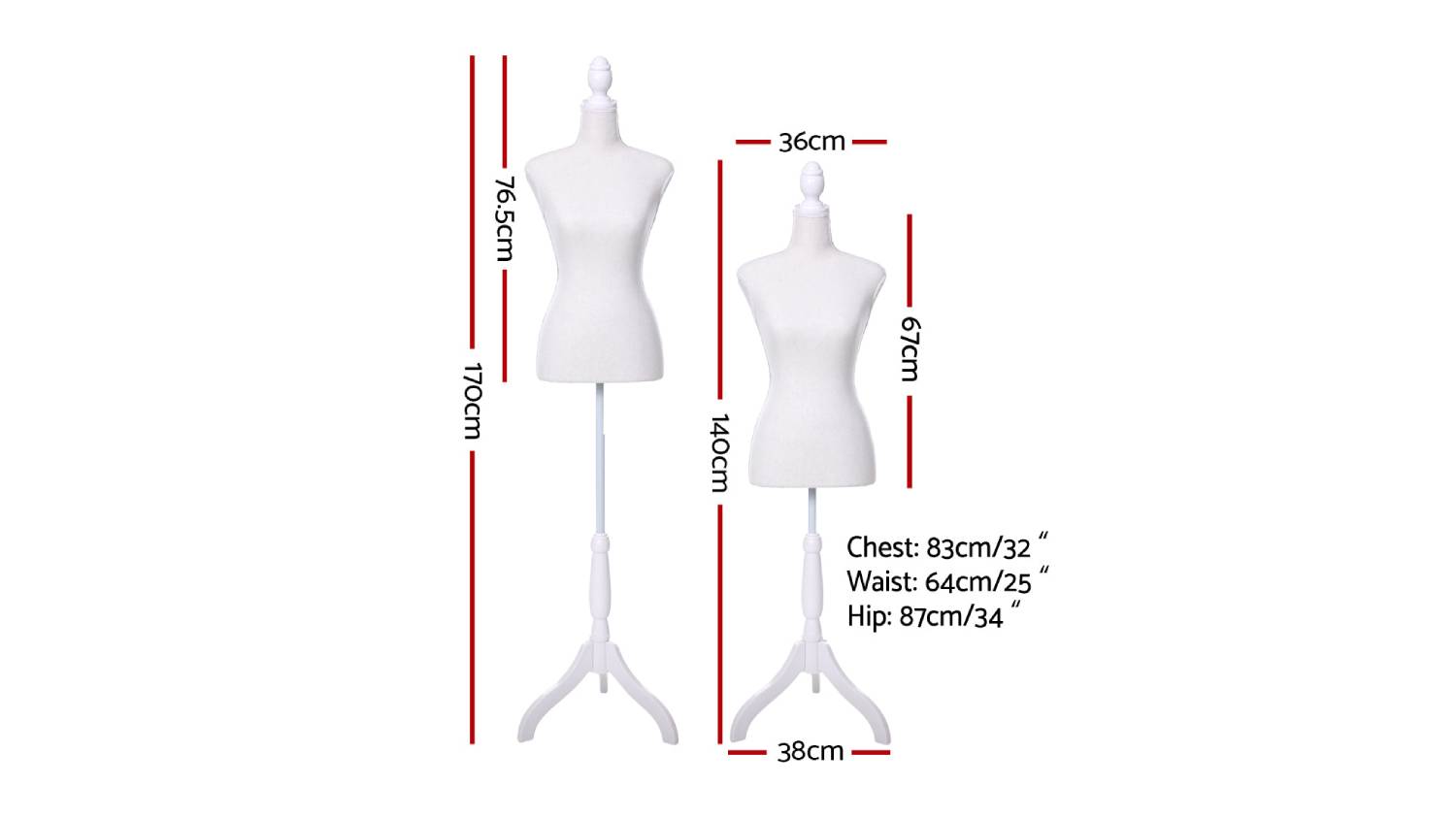A white mannequin with its measurements