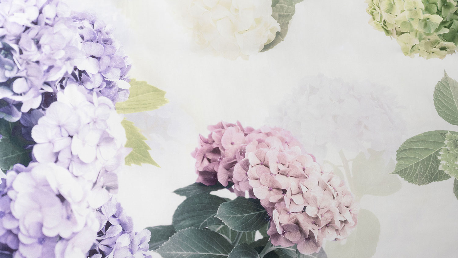 Thea Duvet Cover Set by Savona