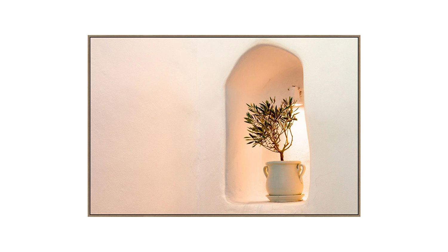 Small green potted plant in a ceramic pot with handles sits in an arched wall niche, softly lit to create a minimalist and serene look.