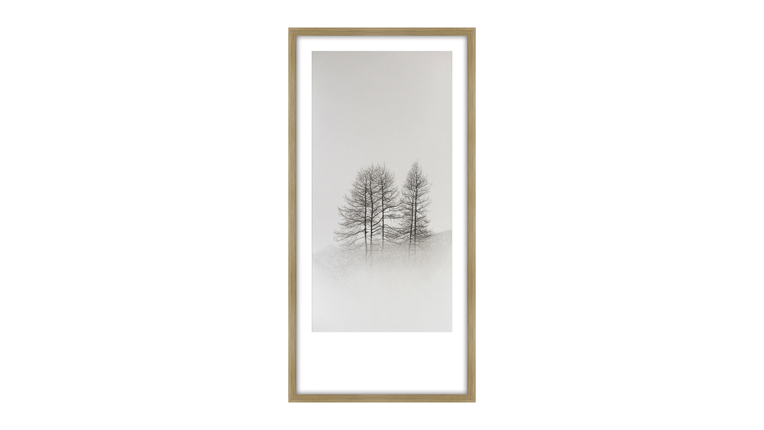A black and white artwork of bare trees standing close together on a foggy day, creating a serene atmosphere.