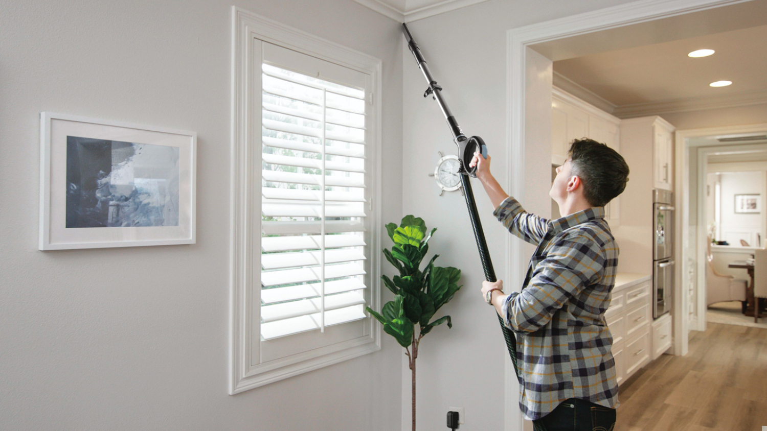 Shark Navigator Upright Vacuum Cleaner - Black/Blue (NV180ANZ)