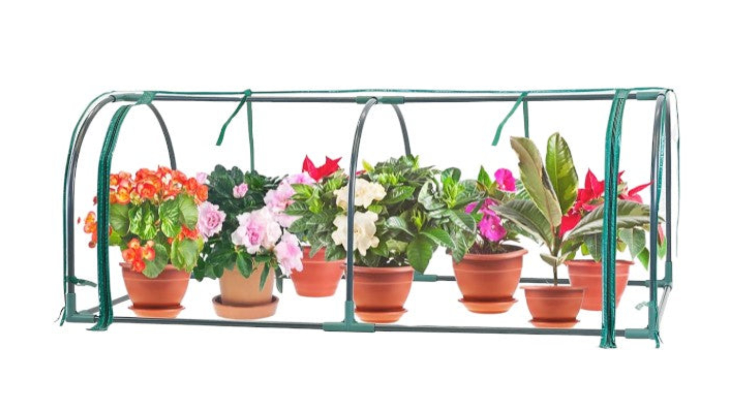A PVC greenhouse tunnel with a green frame holding multiple potted plants