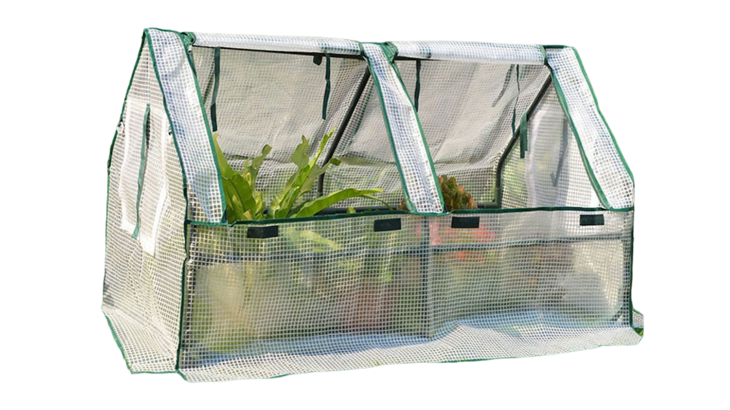 Small greenhouse with clear PE cover and green trim protecting plants