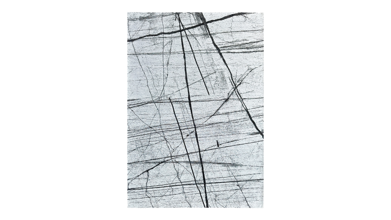 Aubrey Bianc Rug 200 x 290cm - White/Black
