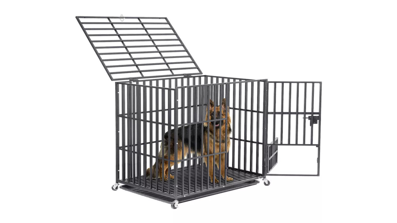 A view of the pet crate with a dog inside