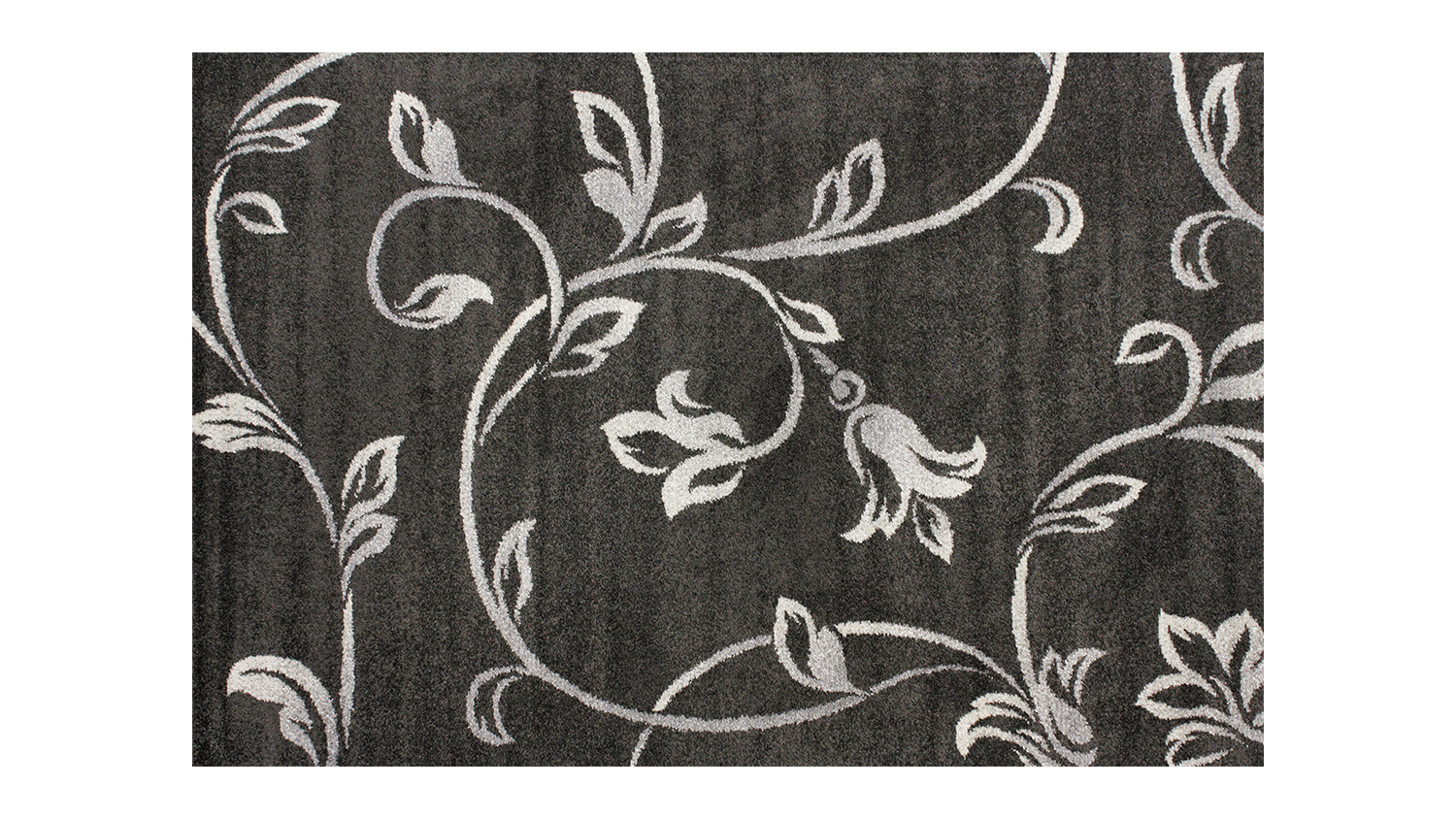 A horizontal view of the Madison Rug