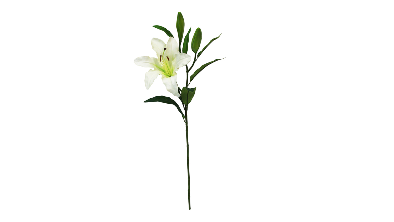 Rubrum Lily 84cm Flower Spray in sleek white