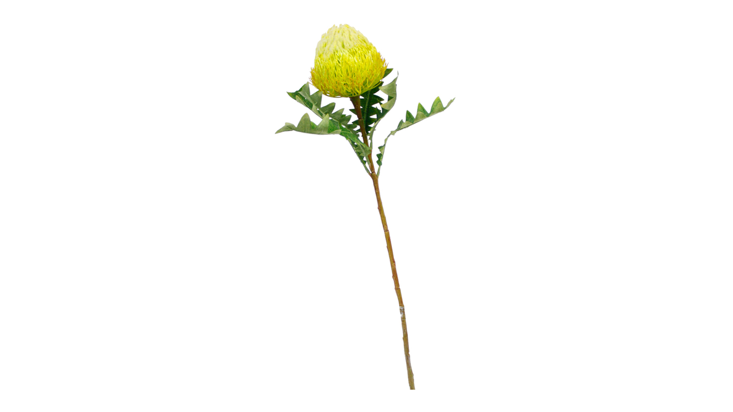 Banksia 69cm Flower Spray, featuring a realistic yellow-green bloom and textured leaves on a long stem
