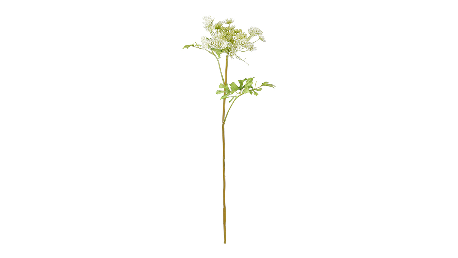 66cm tall artificial Dill Ammi flower spray featuring a brown stem with green leaves and clusters of small white blooms