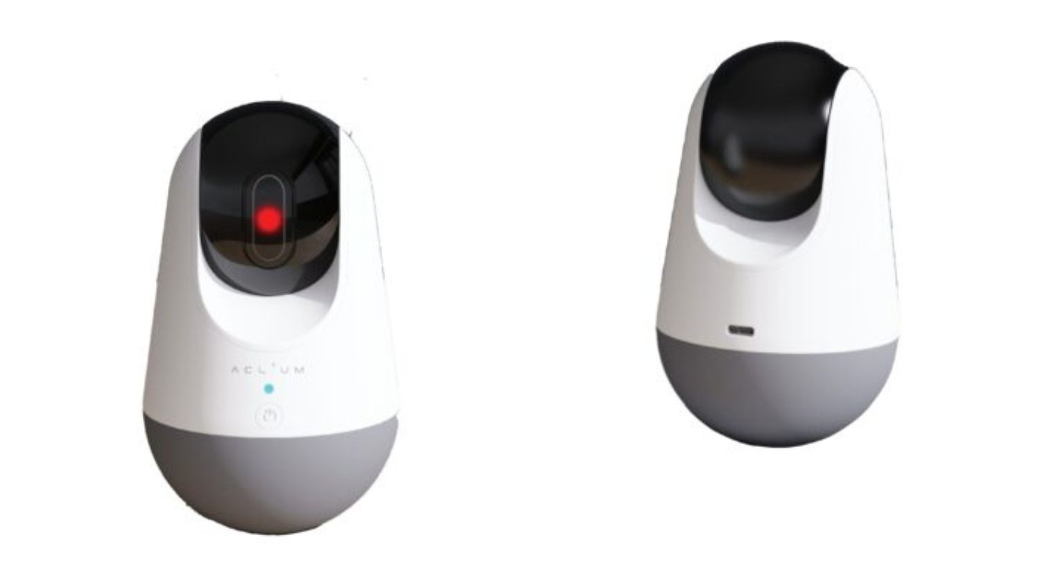 White and grey tumbler-style cat toy with a black top and red laser light, shown from front and back