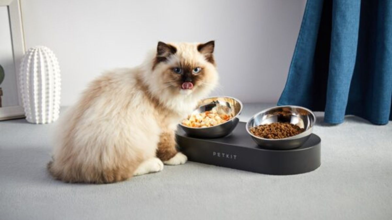 PetKit Fresh Nano Adjustable Dual Bowl Feeding Station