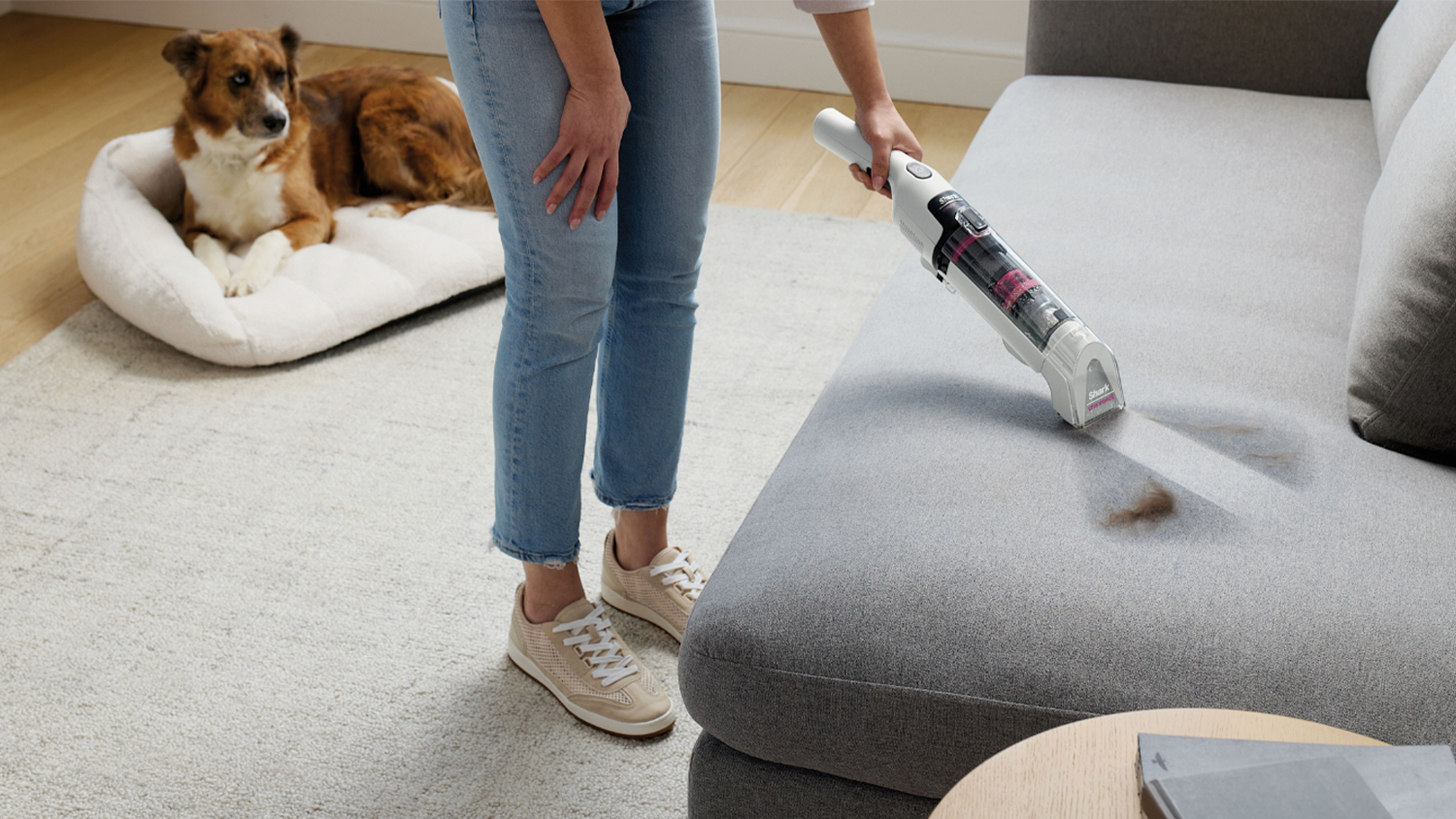 Shark StainForce Wet & Dry Cordless Stain & Spot Cleaner - White (HX100ANZ)