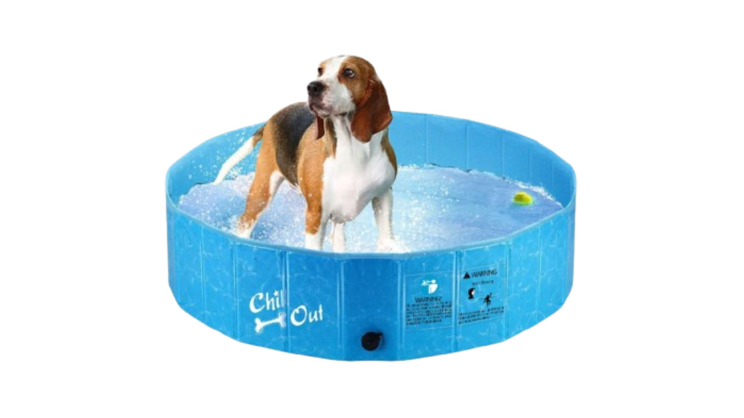 A dog standing in a blue AFP Portable Dog Pool filled with water and a floating toy