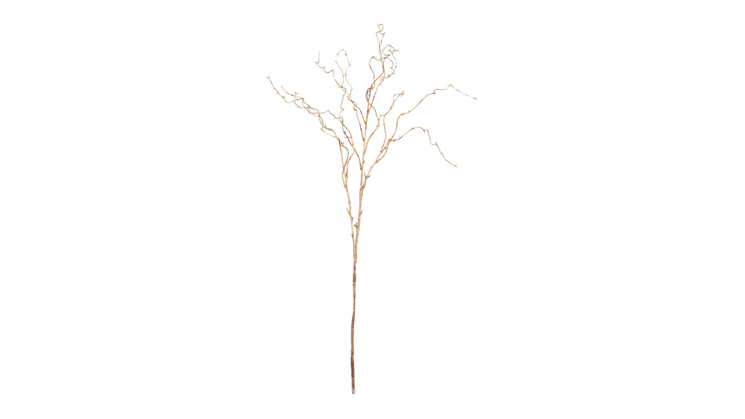 A Willow 100cm Flower Branch in a sleek brown colour
