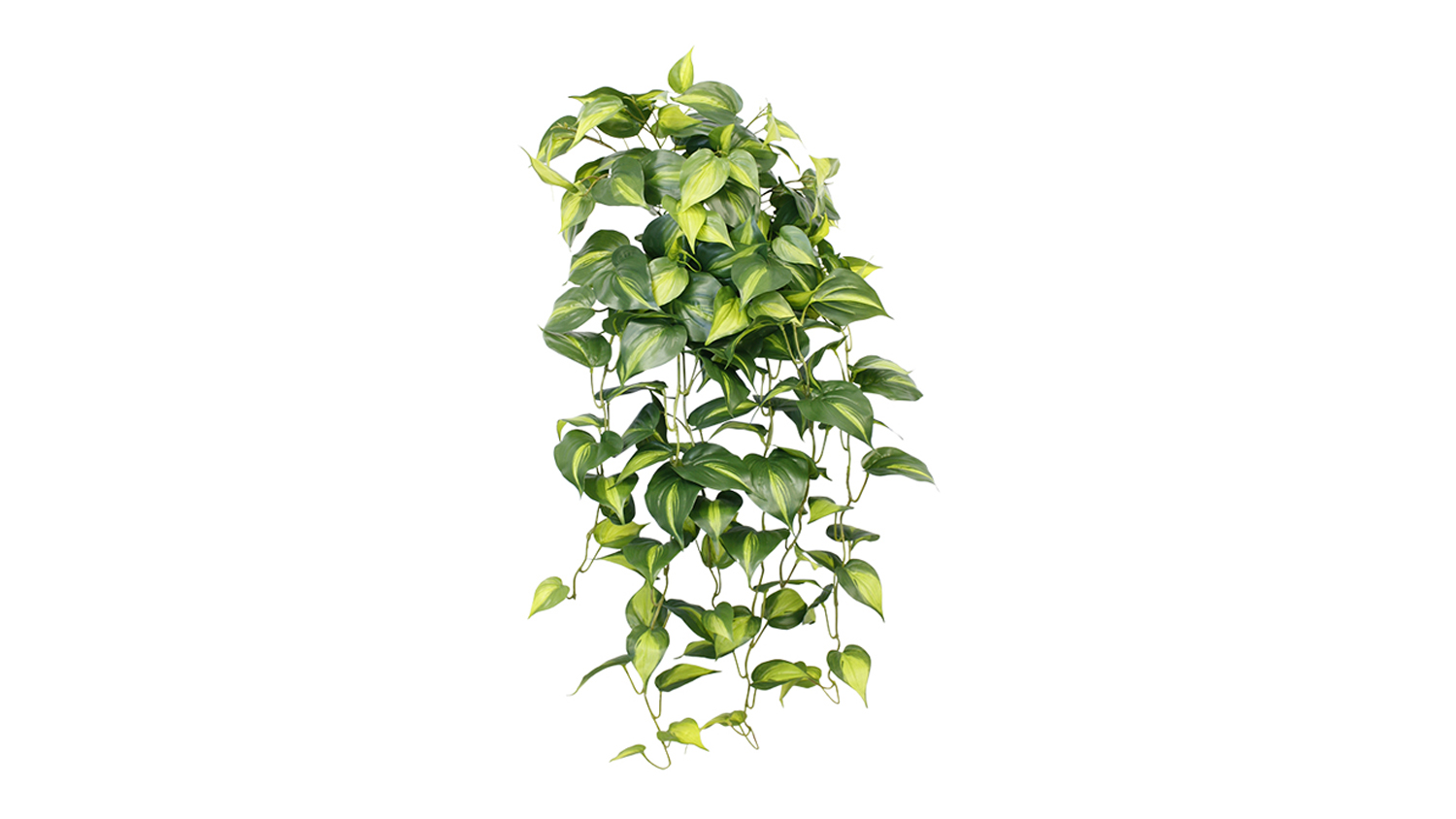 A Central Stem Holland Philo 70cm Hanging Bush in a variegated design