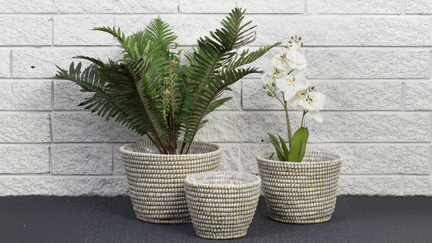 Kans Grass Round Planters Set of 3pcs