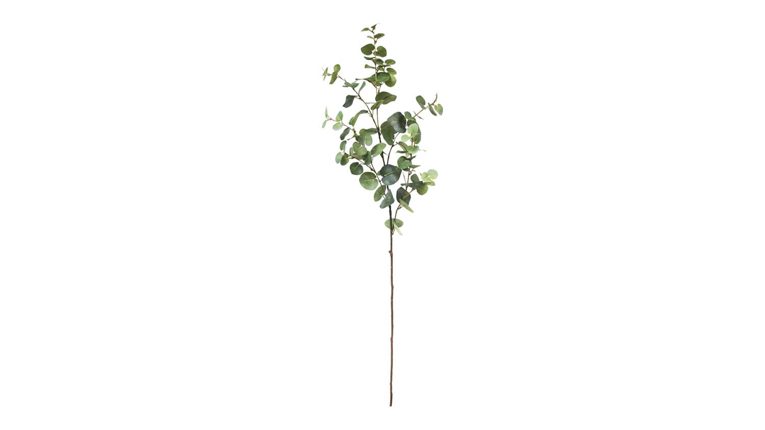 A Eucalyptus 100cm Flower Spray in a sleek green colour
