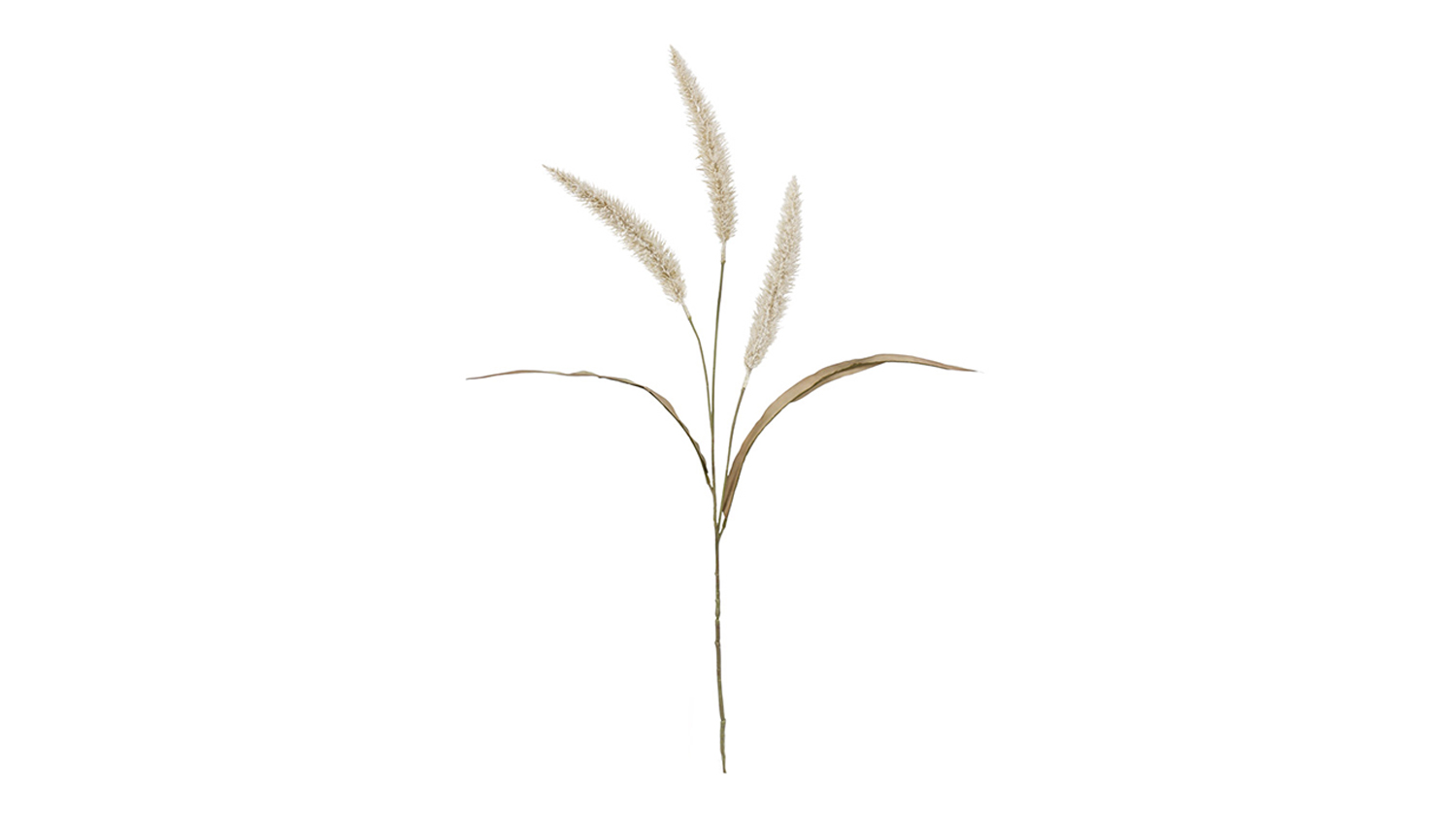 A Fountain Grass 94cm Flower Spray in a sleek cream colour