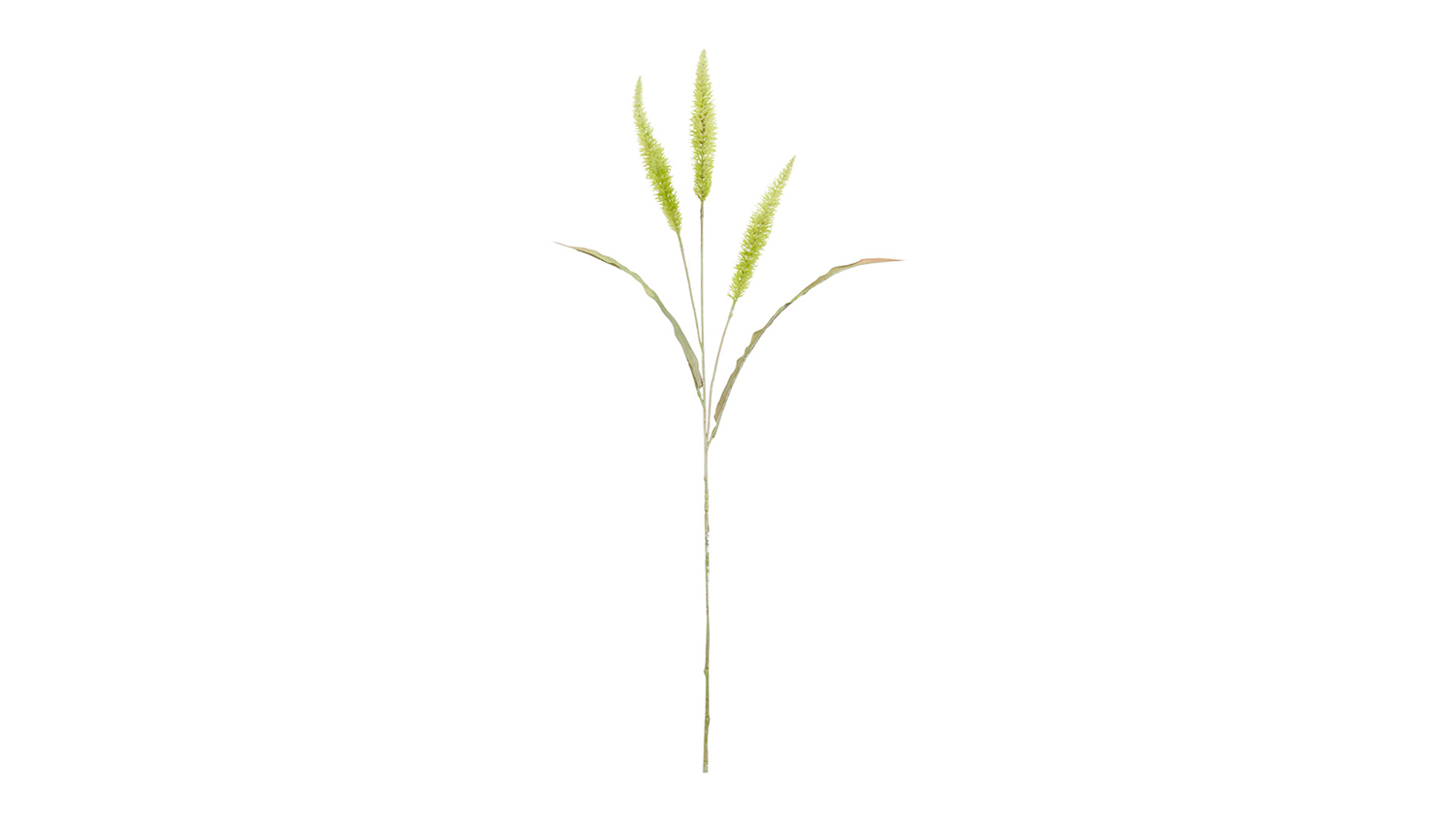 A Fountain Grass 94cm Flower Spray in a sleek sage green colour