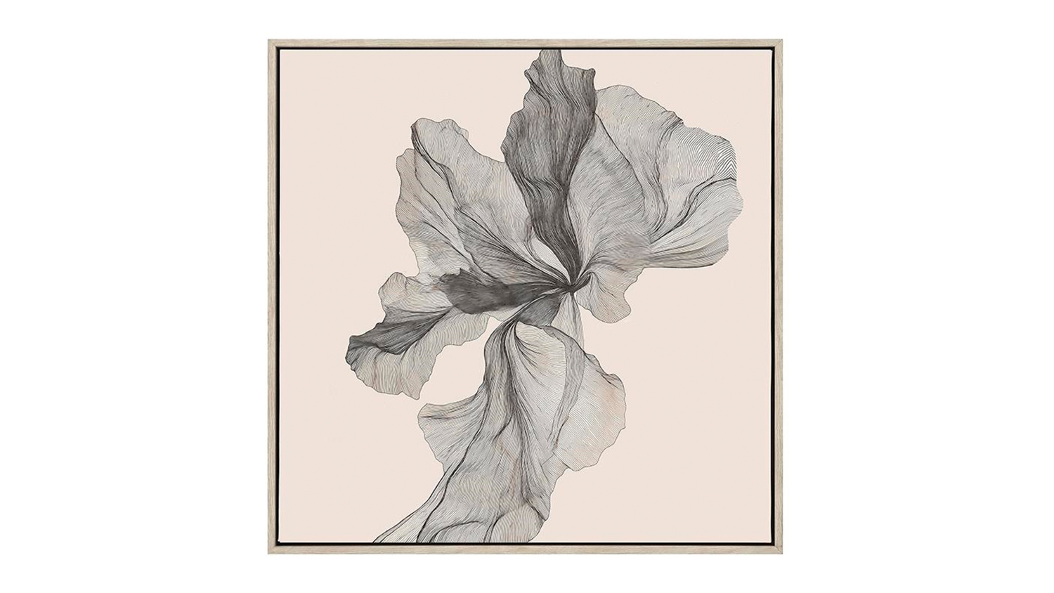 Evolve B framed wall art featuring a delicate, ethereal charcoal line drawing of a blooming flower