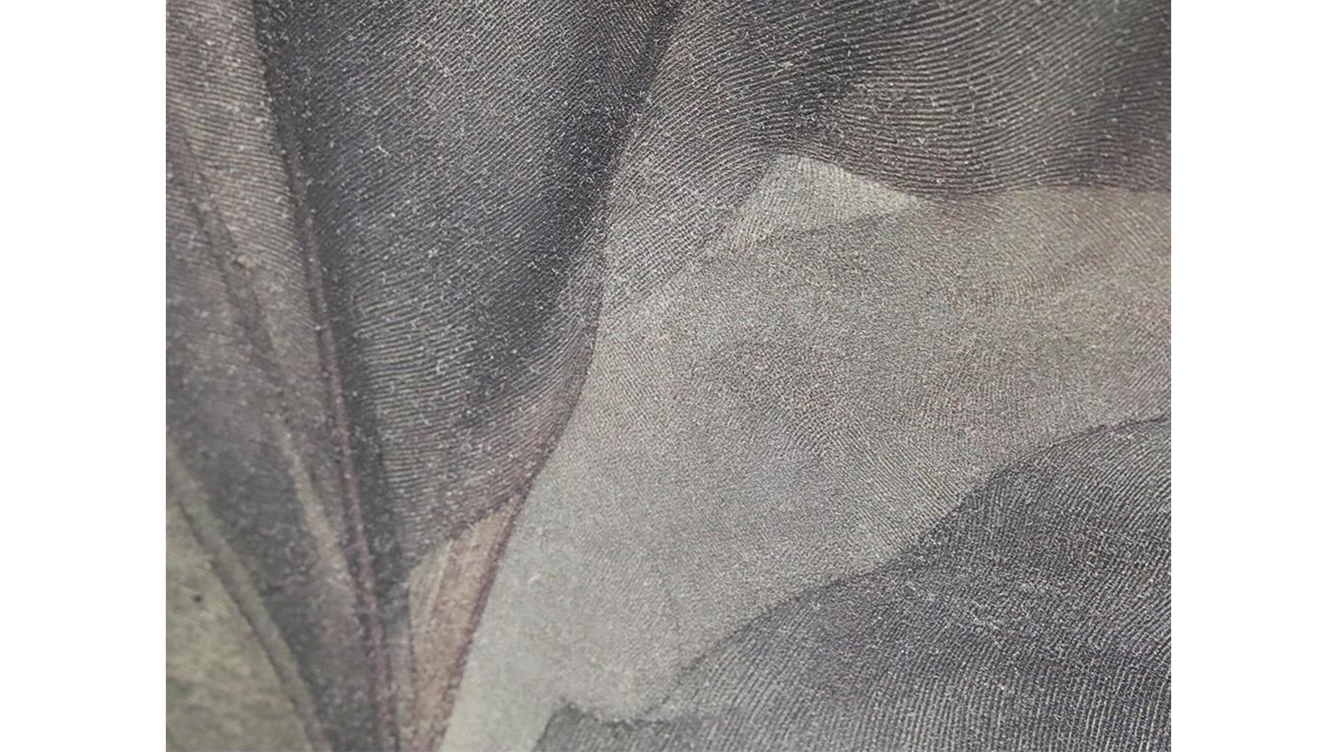 Bloom B Framed Art 100 x 80cm