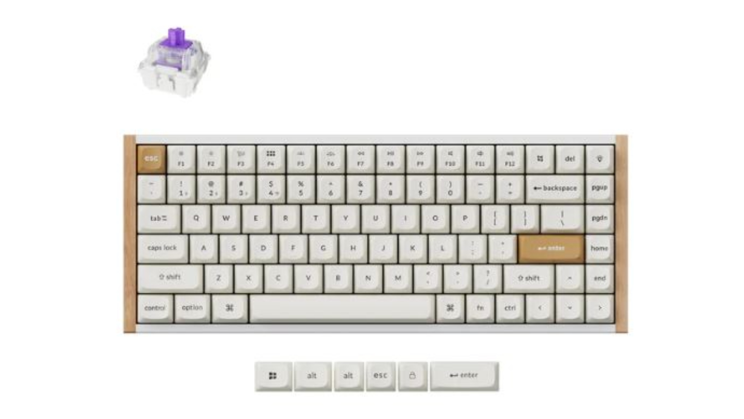 Compact Keychron K2 HE wireless QMK 75% mechanical keyboard with beige keycaps, wooden frame, and a purple switch shown above it