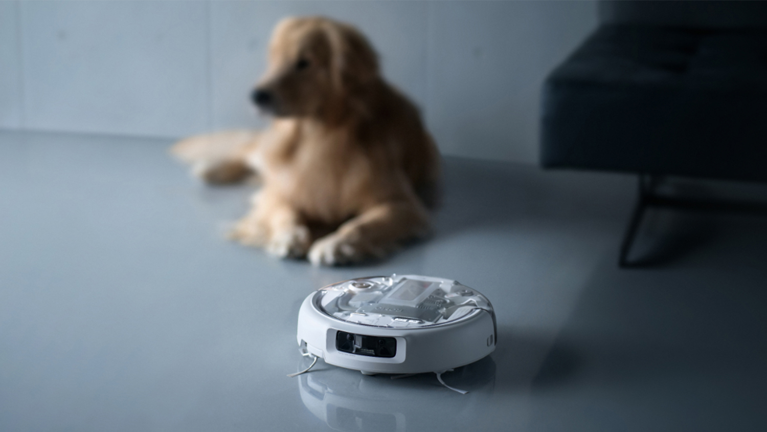 DJI Romo P Robotic Vacuum & Mop with Multifunctional Docking Station - White (190021157316)