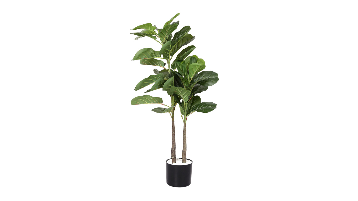 Artificial fiddle leaf fig plant with two stems and glossy green leaves in a black pot
