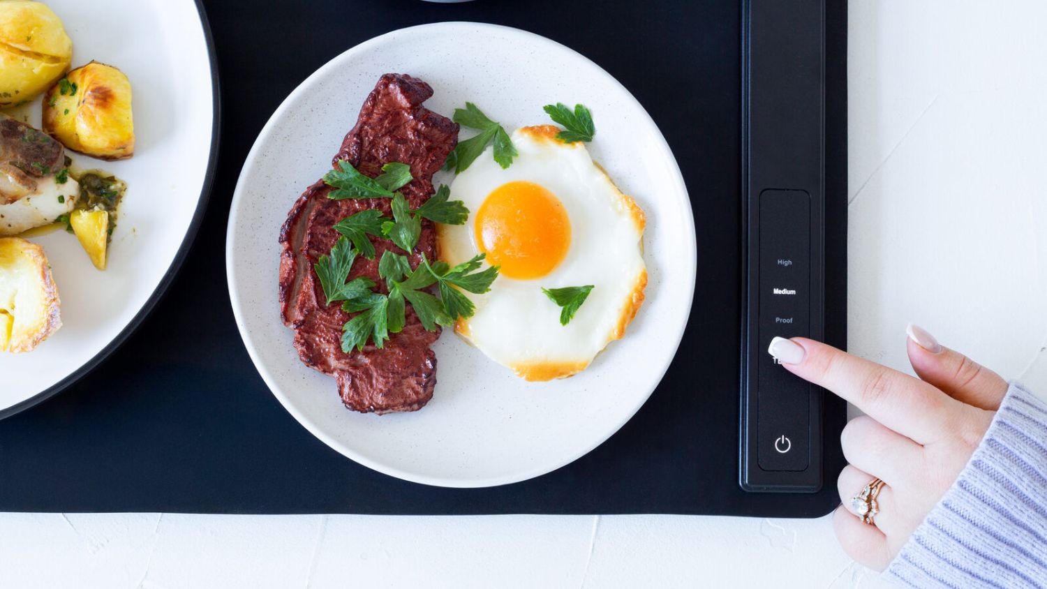 Healthy Choice Electric Warming Tray
