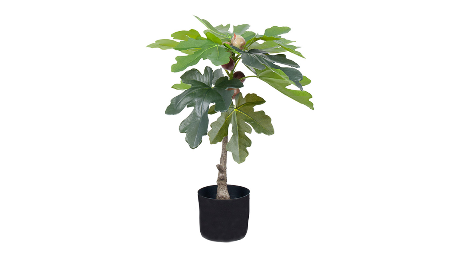 Artificial Fig 70cm plant displayed in a black nursery-style pot, showing  green fig leaves and several fig fruits