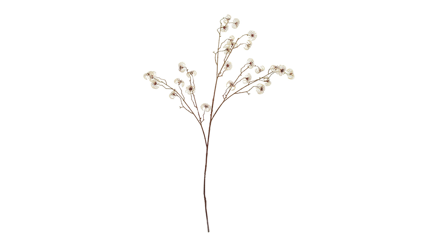 Artificial Clematis 94cm Flower Spray in Cream featuring delicate cream-coloured clematis seed heads