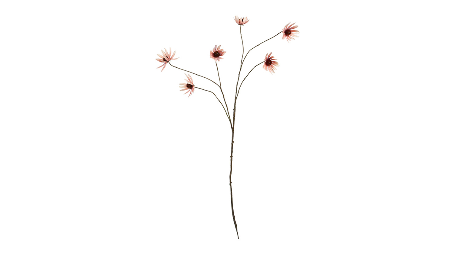 Artificial Rudbeckia 114cm Flower Spray in Dusky Pink featuring five daisy-like blooms with soft dusky pink petals