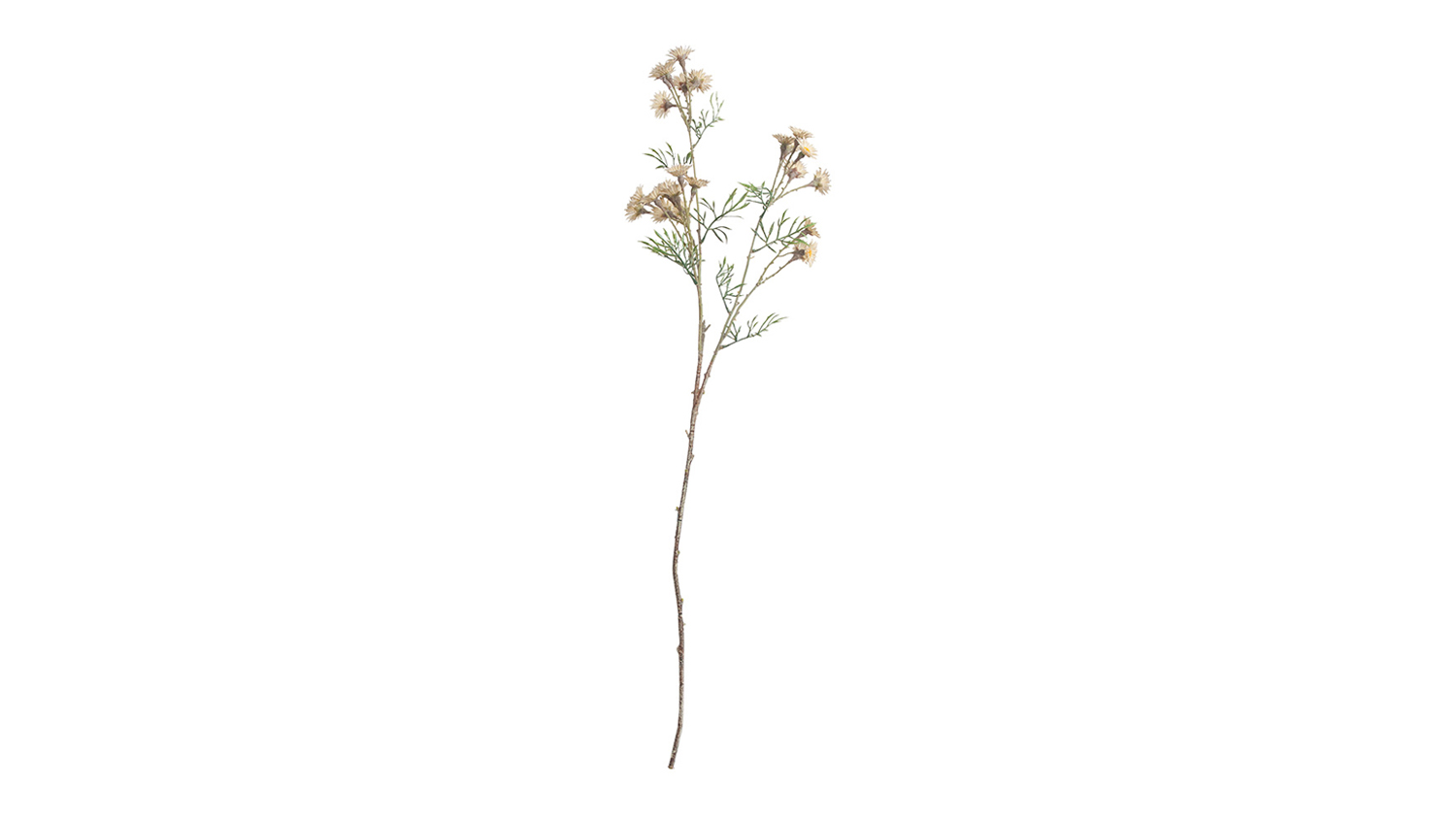 Artificial Daisy 89cm Flower Spray, featuring small cream and pale yellow daisy-like blooms