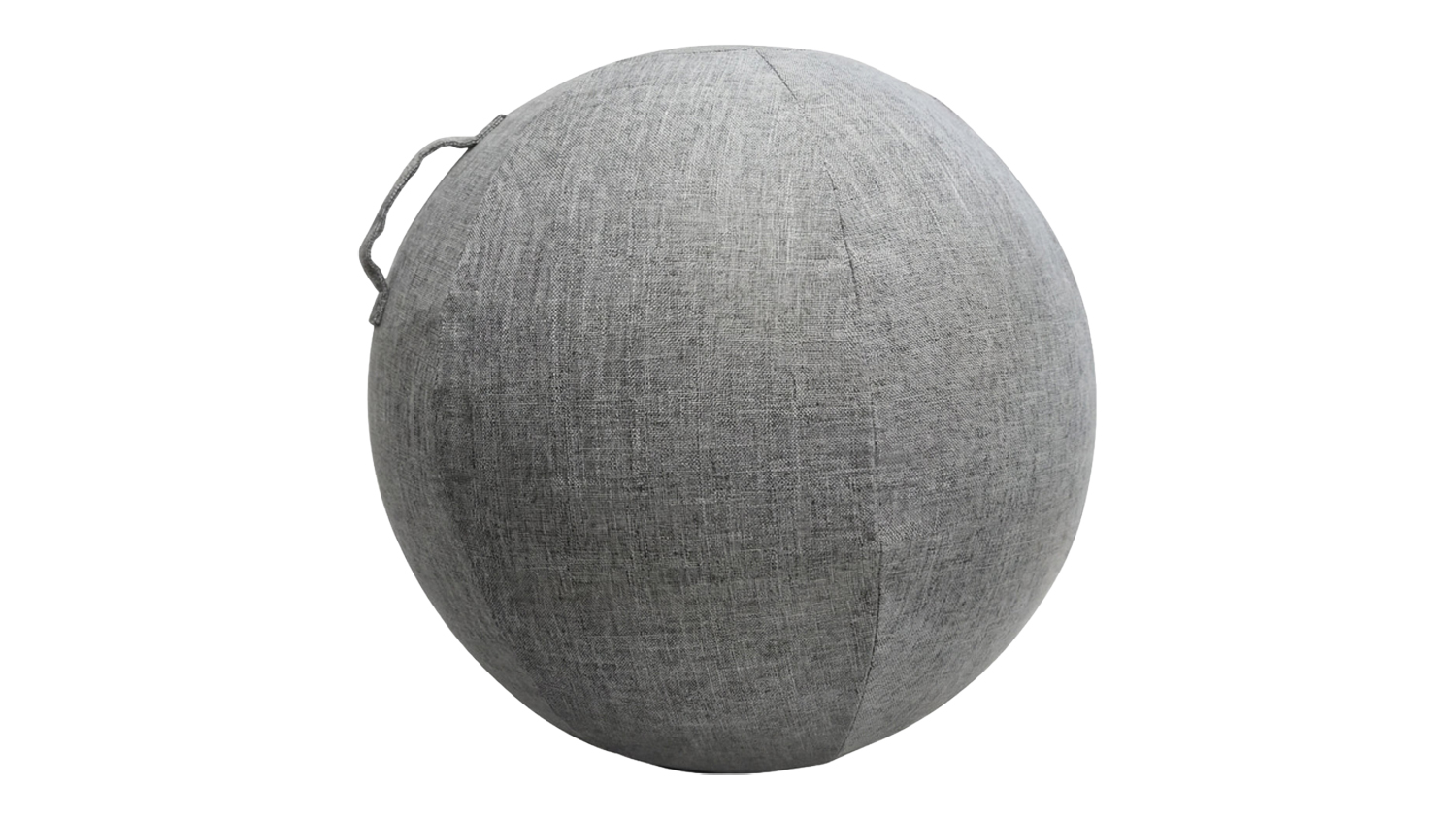 PROTRAIN Yoga Ball Protective Cover with handle for functional fitness workouts
