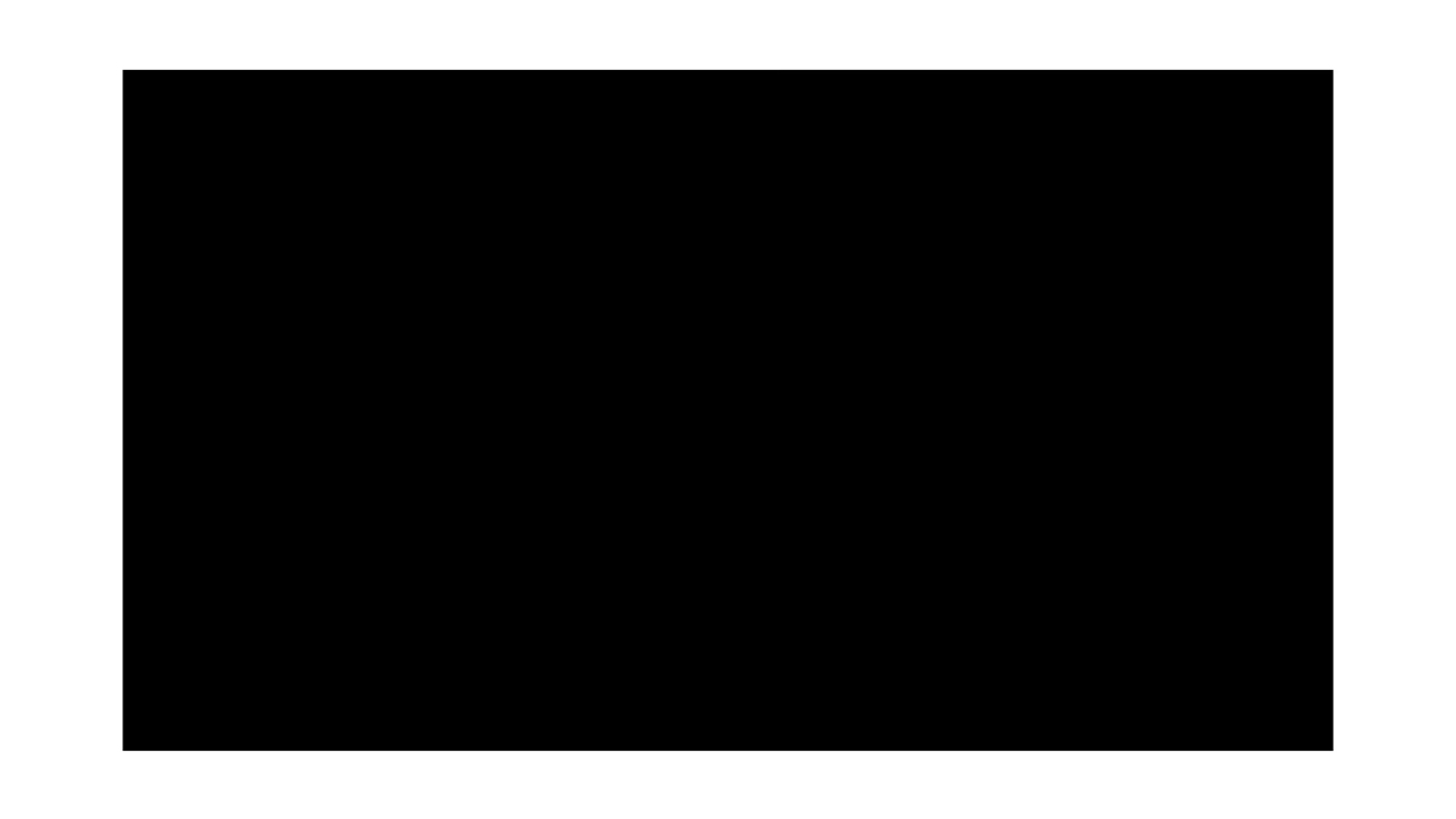 Cricut Premium Vinyl 12" x 48" - Removable/Black (1 Sheet)