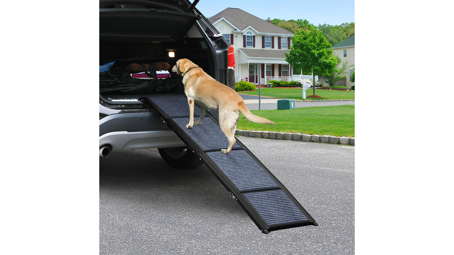 PaWz Folding Dog Mobility Ramp with Grip 180 x 44cm