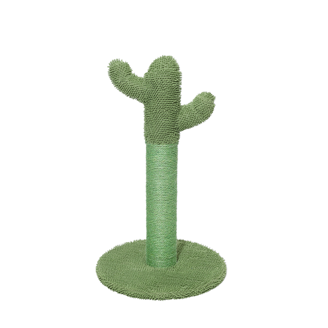Front view of a green cactus-shaped PaWz Cat Scratching Post with a sisal-wrapped column and round textured base