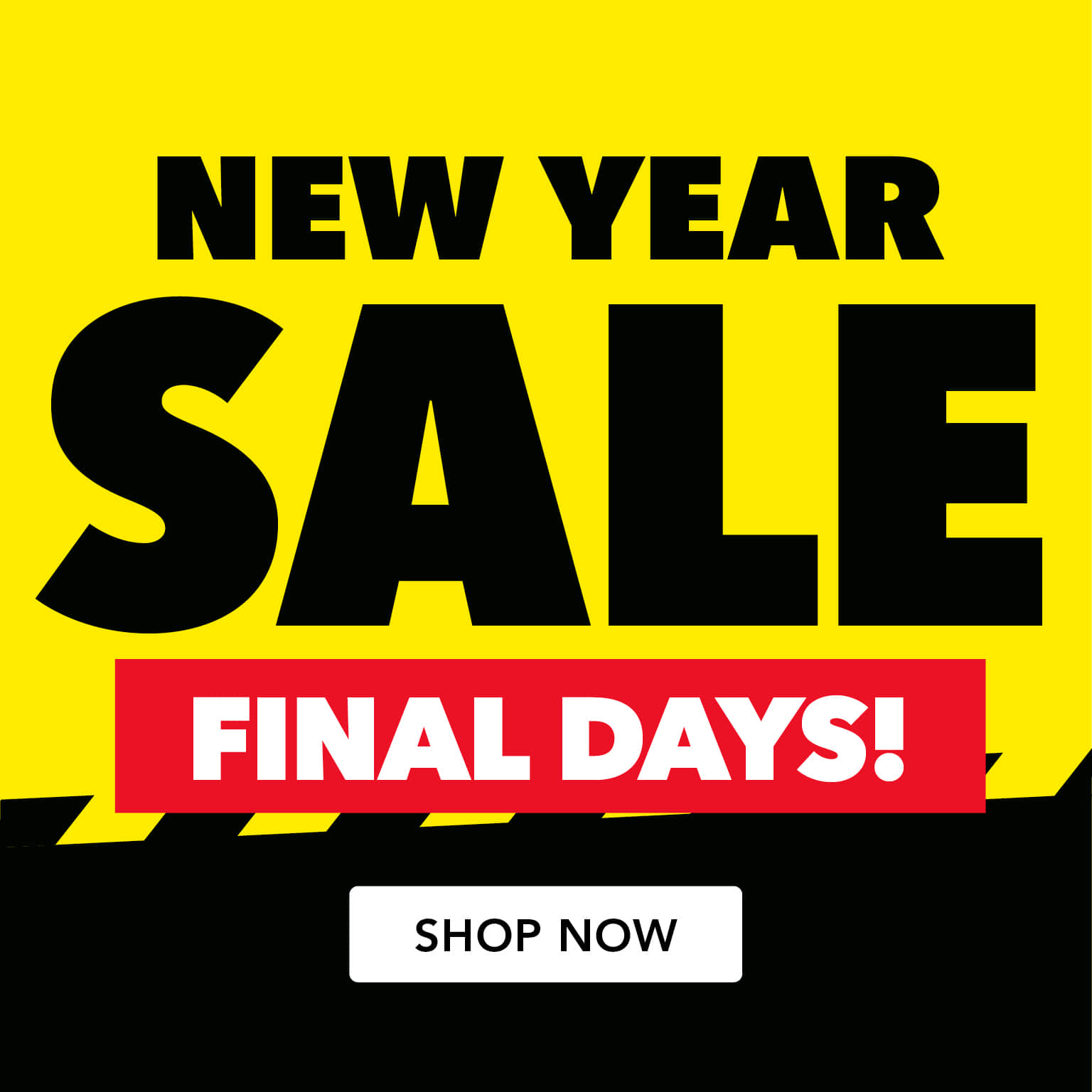 New Year Sale Final Days