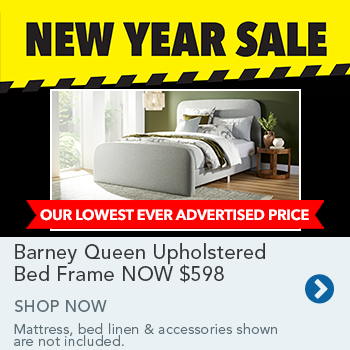 Barney Queen Upholstered