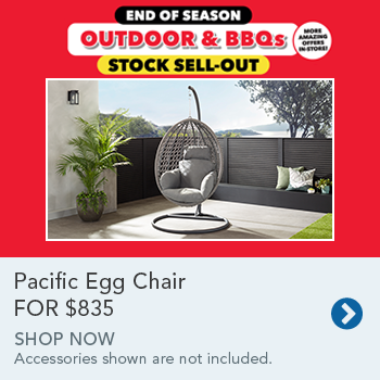 Pacific Egg Chair